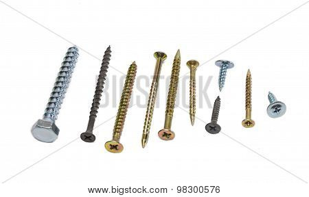 Several Wood Screws Different Sizes, Shape, Design And Purpose