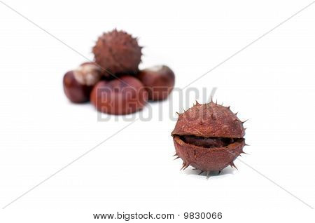 Conker