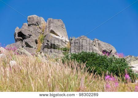Mountian