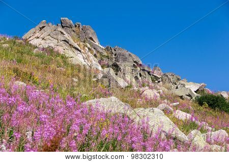 Mountian