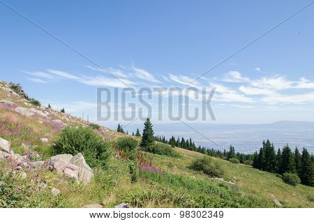 Mountian