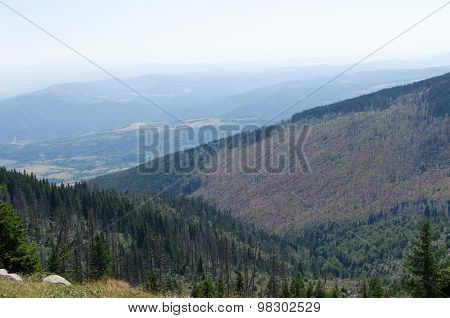 Mountian