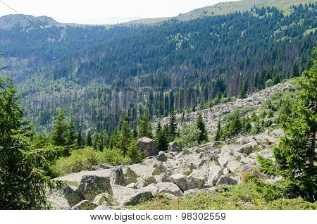Mountian