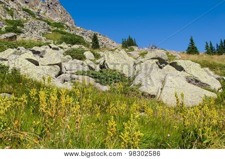 Mountian