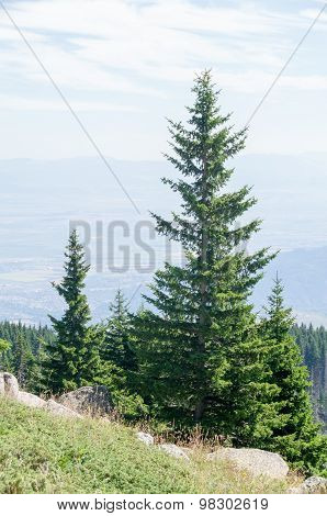 Mountian