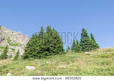 Mountian