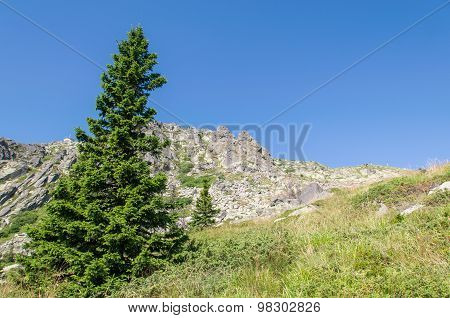 Mountian