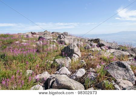 Mountian