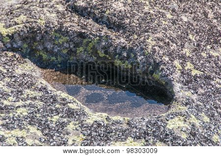 Mountian