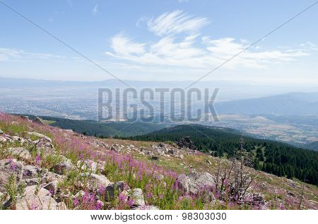 Mountian
