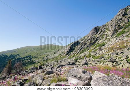 Mountian