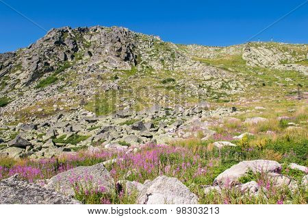 Mountian