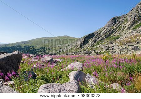 Mountian