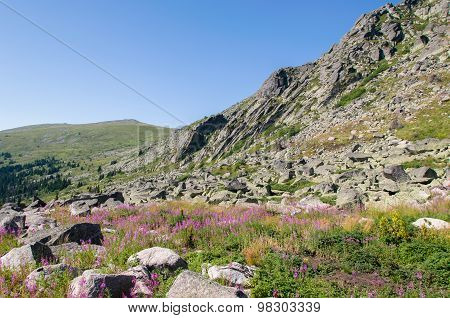 Mountian