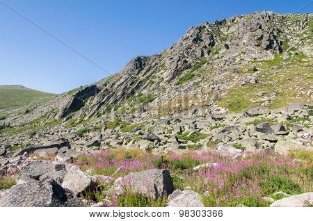 Mountian