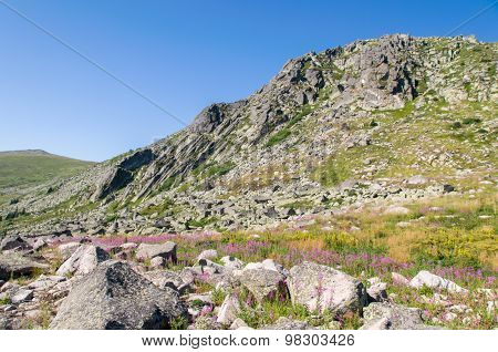 Mountian