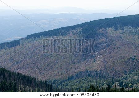 Mountian