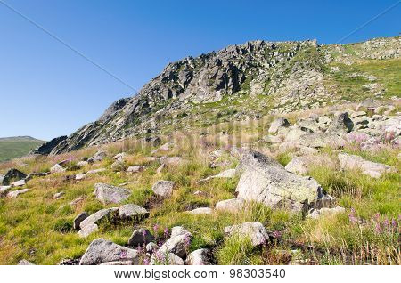 Mountian
