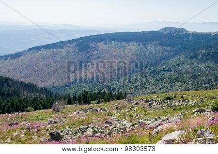 Mountian