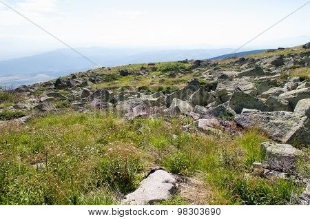 Mountian