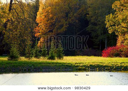 Syksyn View Park