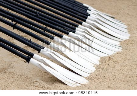 A row of a Canoe and Kayak Paddles