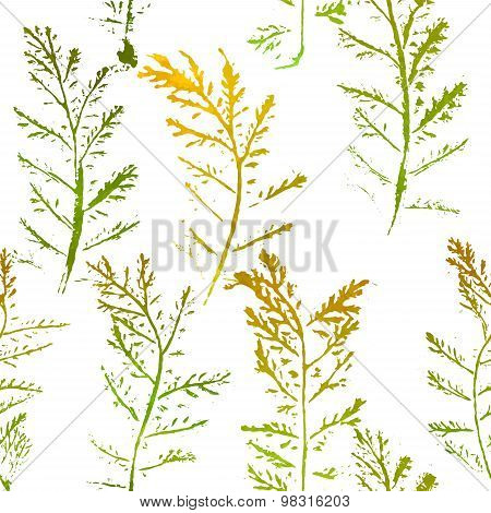 Seamless imprints pattern of the branched herbs.
