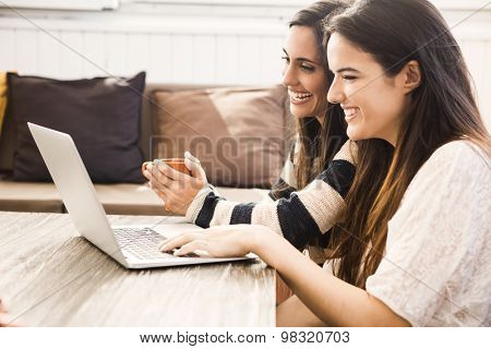 Female friends studying at the local coffee shop