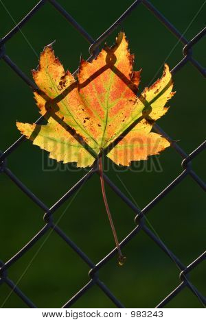 Img_5844V2