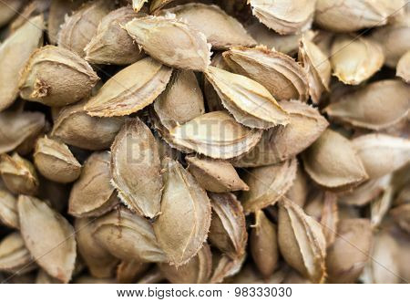Apricot seeds, pits, stones