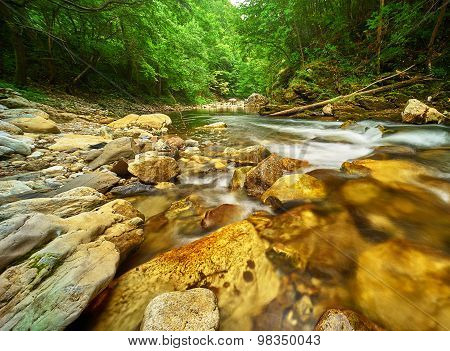 Water Stream In Forest