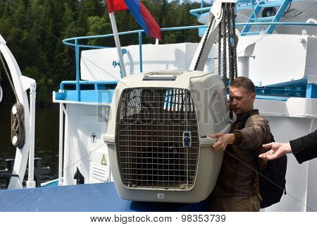 VALAAM ISLAND, RUSSIA - JULY 29, 2015: Vyacheslav Alekseev and others carrying the cage with Ladoga ringed seal from the ship. Animals were cured and released into the Ladoga lake