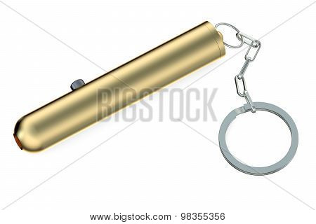 Lazer Pointer Closeup