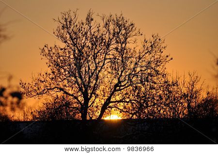 Sonnenuntergang