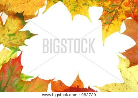 Herbst-Frame #3