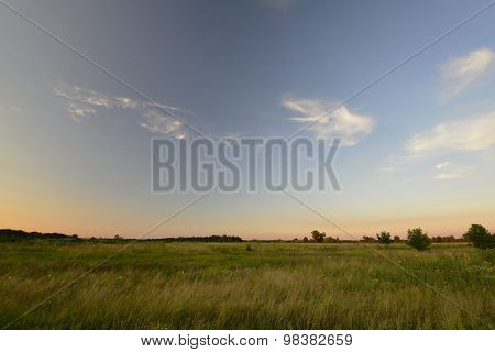 Orlovshtina