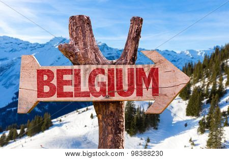 Belgium wooden wooden sign with winter background