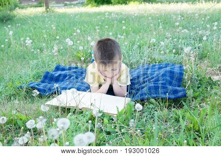 Boy reading book lying on stomach outdoor among dandelion in park smiling cute child children education and developmen. Back to school concept