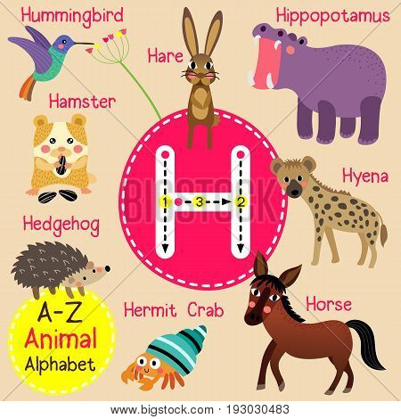 Cute children zoo alphabet H letter tracing of funny animal cartoon for kids learning English vocabulary vector Illustration.