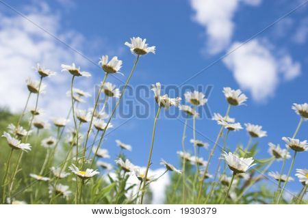 Frescura de verano