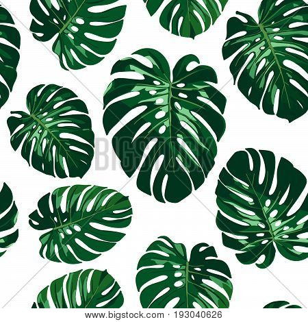 Seamless monstera palm leaves pattern for your summer background. Vector tropical illustration