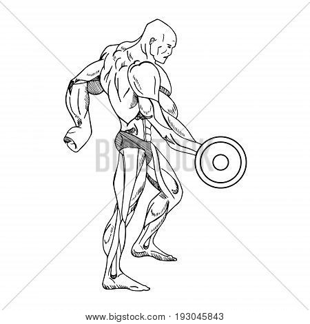Vector elements for vintage fitness and gym labels. Sport fitness gym bodybuilding and dumbbell element barbell for label illustration
