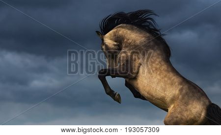 Purebred Andalusian horse rear with dramatic overcast skies. Photo with place for text.
