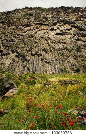 Mountain unique geological formation called Symphony of Stones. Basalt rock. Ecotourism. Nature background. Adventure holiday. Armenia, Garni. Travel vacation. Climbing tourism concept. Poppy meadow