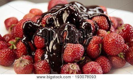 Strawberry in chocolate close-up plan watch FULL