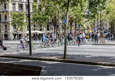 Bicyclists on colorful bicycles crossing pedestrian crosswalk in Barcelona
