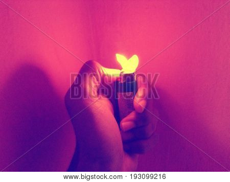 Hot passion love seduction passion loved fire