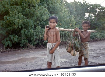 SAVAI'I ISLAND / SAMOA - circa 1990: Two boys carry a load of coconuts along a road.