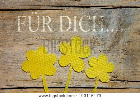 Beeswax, Three Flowers On Wooden Table, German Words, For You