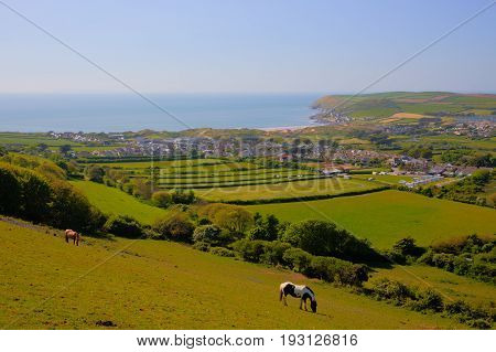 Devon countryside view to Croyde bay England UK in summer with ponies